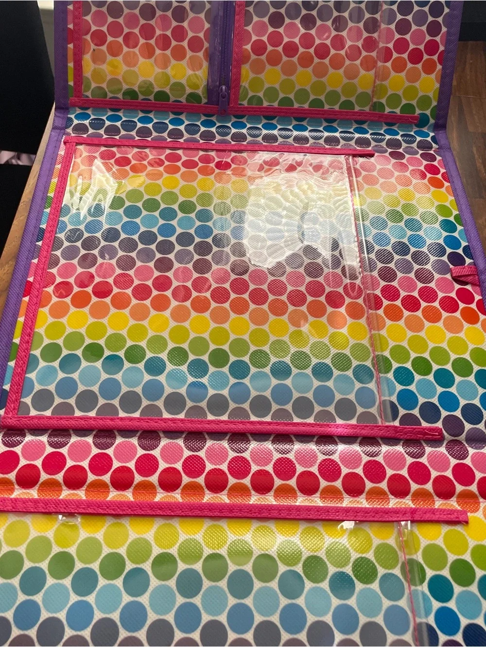 Lisa Frank Storage Case